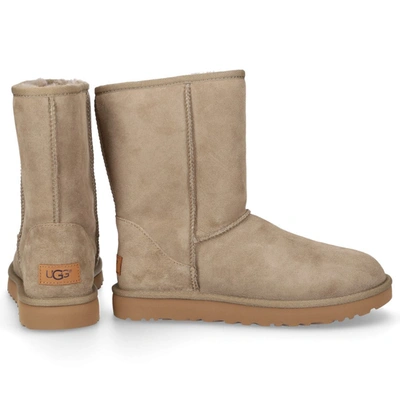 Ugg Ankle Boots Classic Short Ii Lambskin  Olive