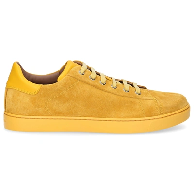 Gianvito Rossi Low-top Sneakers Low Top In Yellow