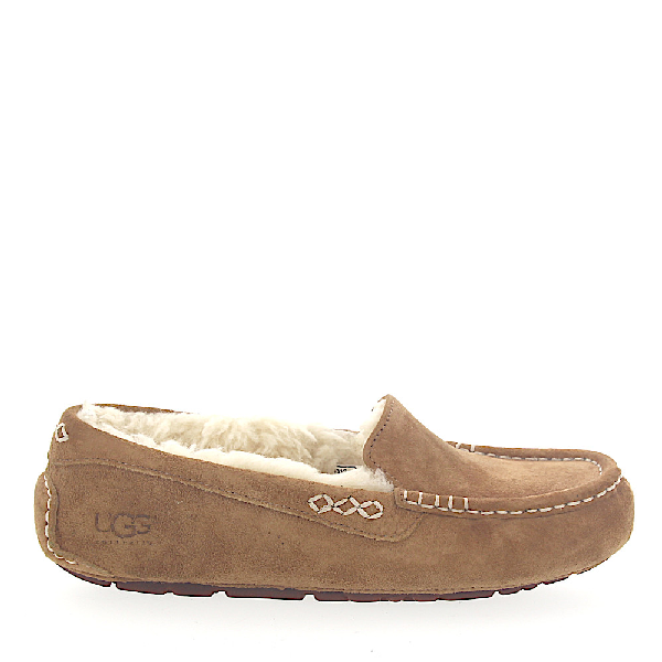 mules ugg mules ugg