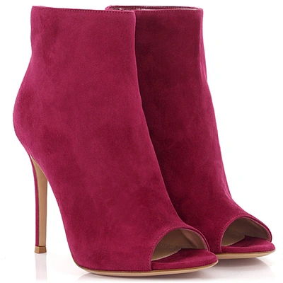 Gianvito Rossi Ankle Boots Lais Suede In Red,purple