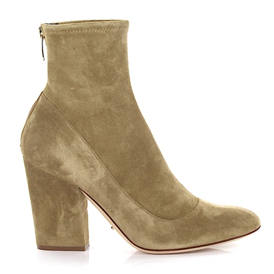 Sergio Rossi Classic Ankle Boots A75280 Suede In Beige