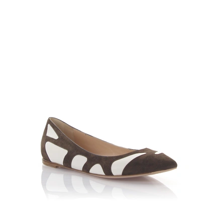 Gianvito Rossi Ballet Flats G20001  Suede In Brown