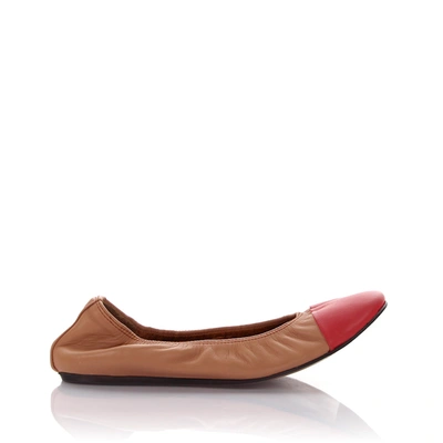 Lanvin Classic Ballet Flats In Beige