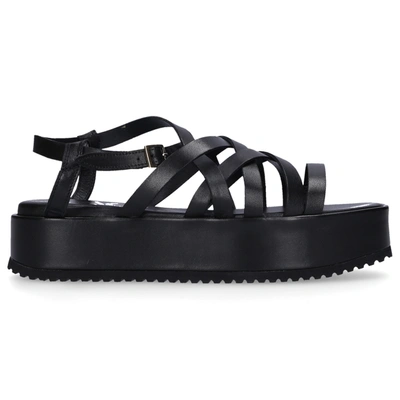 Agl Attilio Giusti Leombruni Strappy Sandals D647006 In Black