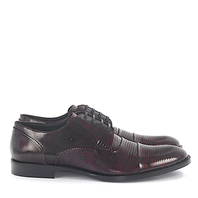 Dolce & Gabbana Lace Up Shoes A10080 Lizard Leather In Black,red