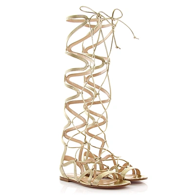 Gianvito Rossi Shaft Sandals Medusa In Gold