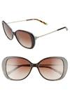 Tiffany & Co Tiffany T 55mm Gradient Butterfly Sunglasses In Brown