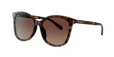 Coach Woman Sunglasses Hc8271u L1101 In Dark Brown Gradient Polar