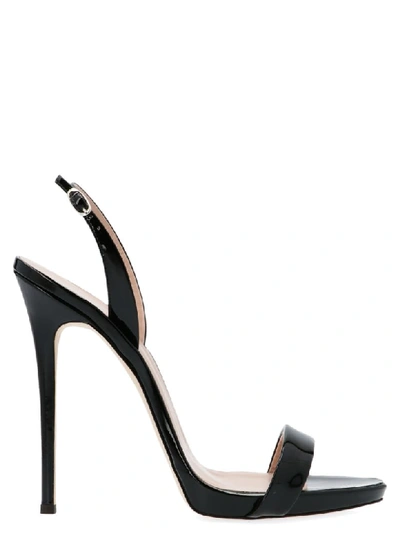 Giuseppe Zanotti Sofia Shoes In Black