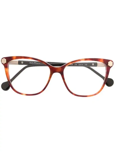 Ferragamo Tortoiseshell Frame Glasses In Brown