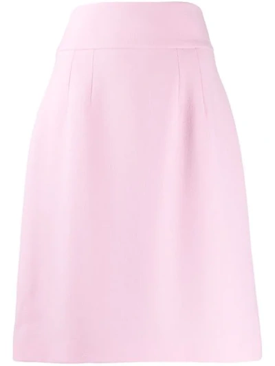 Dolce & Gabbana High-waisted Skirt In Pink