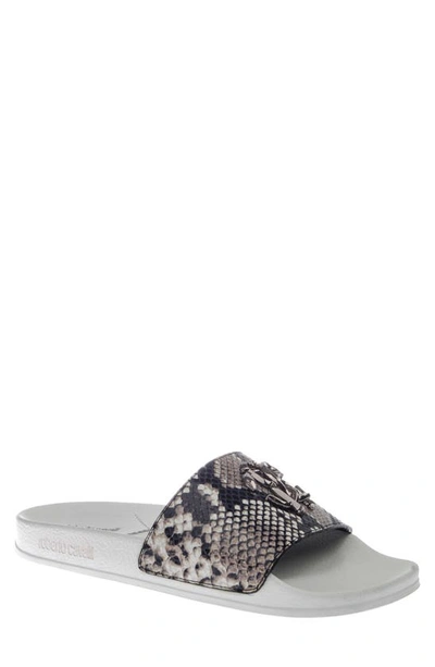 Roberto Cavalli Men's Snake-print Logo Pool Slide Sandals In Grey