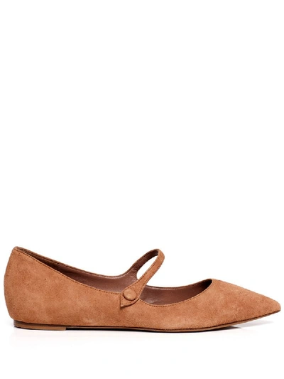 Tabitha Simmons Hermione Suede Point-toe Flats In Brown