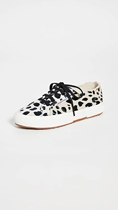 Superga Women's Leopard Print Velvet Classic Lace Up Trainers In Dalmation