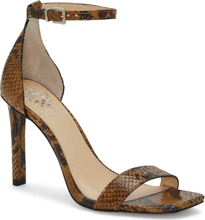 Vince Camuto Lauralie Ankle Strap Sandal In Smokey Brown Leather