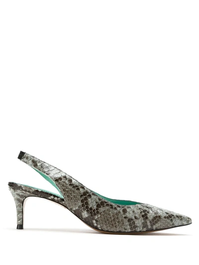 Blue Bird Shoes Python Slingback Pumps In Grey