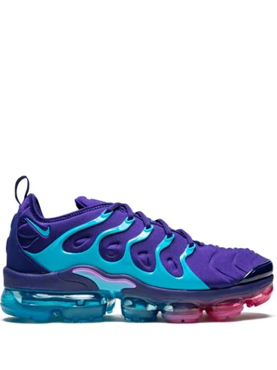 Pre-owned Nike Air Vapormax Plus Hornets In Regency Purple/light Blue Fury-laser  Fuchsia | ModeSens