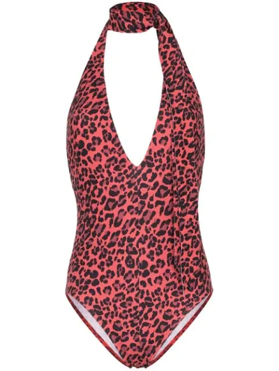 Zimmermann Sculpt Leopard-print Swimsuit In Red