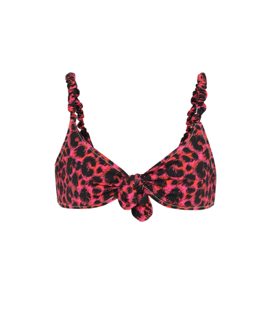 Reina Olga Luca Leopard-print Bikini Top In Red