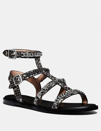 Coach Haddie Gladiator Sandal In Snakeskin - Women's In Natural