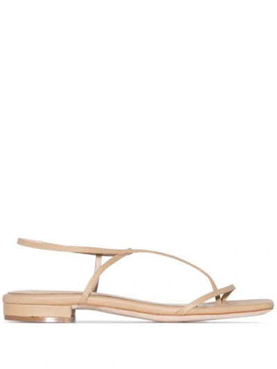 Studio Amelia Strappy Flat Sandals In Neutrals