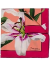 Dolce & Gabbana Halstuch Mit Lilien-print In Pink