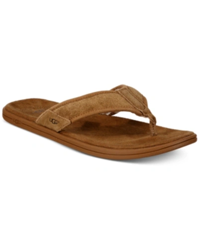 Ugg Men's Seaside Suede Faux Shearling-lined Flip Flops In Chestnut