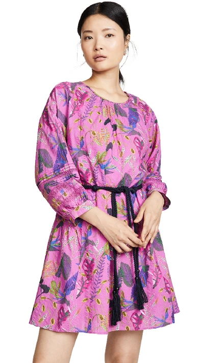 Tanya Taylor Sylvia Floral Tie Waist Cotton Dress In Jungle Purple