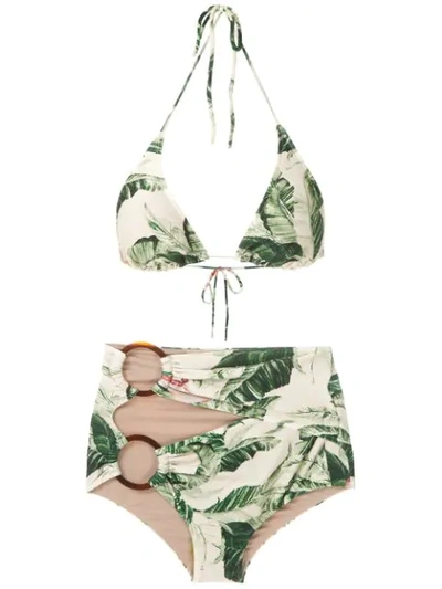 Adriana Degreas X Cult Gaia Printed Bikini Set In Green