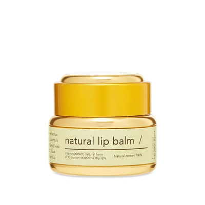 Haeckels Natural Lip Balm In N/a