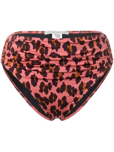 Stella Mccartney Leopard-print Bikini Bottom In Pink