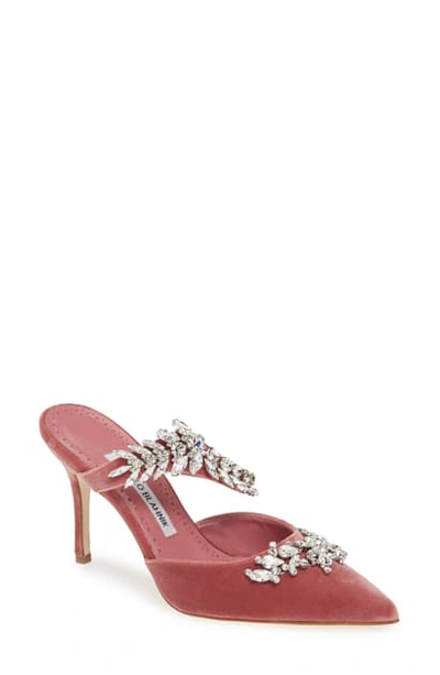 Manolo Blahnik Lurum Embellished Velvet Mules In Dusty Pink