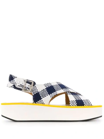 Flamingos Malabar Sandals In Blue