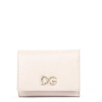 Dolce & Gabbana Pink Leather Wallet With Logo Plaque In Neutrals