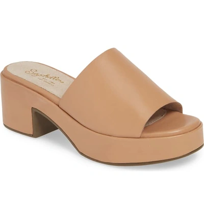 Seychelles One Of A Kind Platform Mule Sandal In Vacchetta Leather