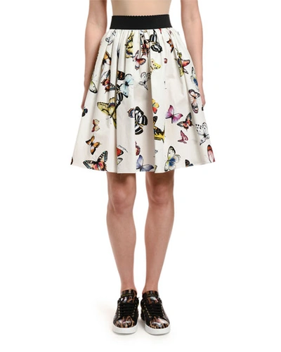 Dolce & Gabbana Butterfly-print Cotton Poplin Full Skirt In White Pattern