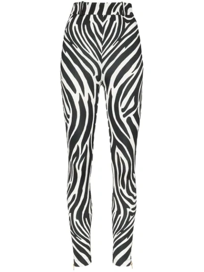 Versace Zebra Black White Print Leggings