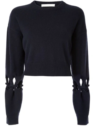 Dion Lee Knot Details Cropped Jumper In Blue