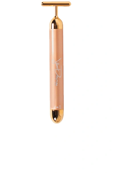 Jillian Dempsey Gold Sculpting Bar