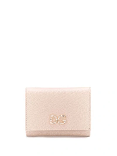 Dolce & Gabbana Crystal Logo Wallet In Neutrals