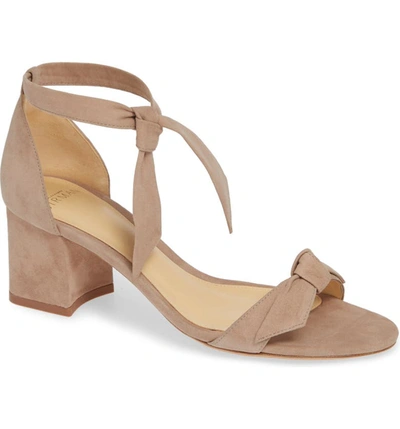 Alexandre Birman Clarita Block Heel Sandal In Cameo Suede