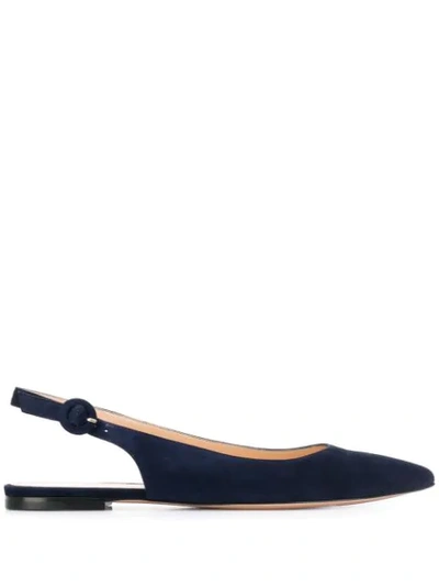 Gianvito Rossi Pointed Ballerina Shoes In Blue