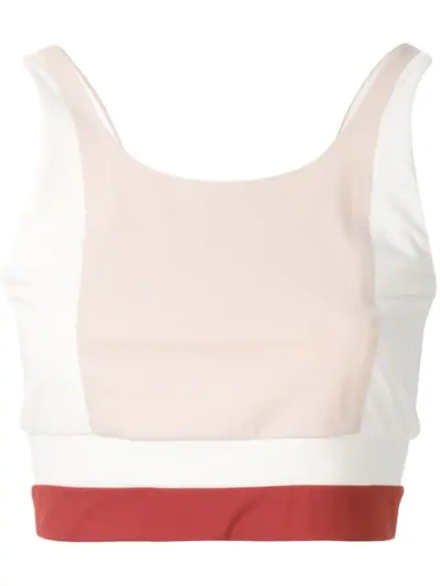 Vaara Poppy Colour-block Sports Bra In Almond Cream Cinnamon