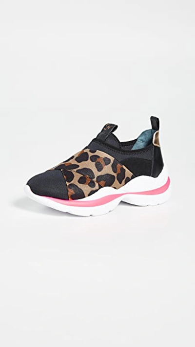 Sophia Webster Wavy Sneakers In Black/leopard