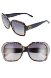 Tory Burch Women's Square Sunglasses, 57mm In Amber Tortoise/ Blue Gradient