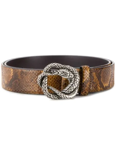 Just Cavalli Snake Buckle Belt In Brown