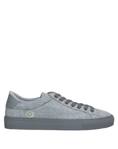 Barracuda Sneakers In Grey