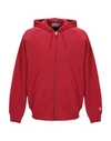Carhartt Hooded Sweatshirt In Red