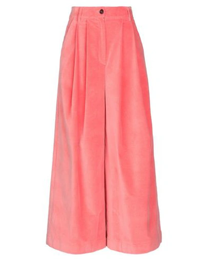 Neul Casual Pants In Coral
