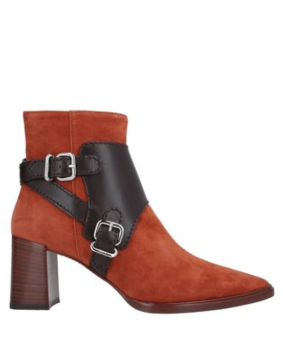 Tod's Ankle Boots In Brown